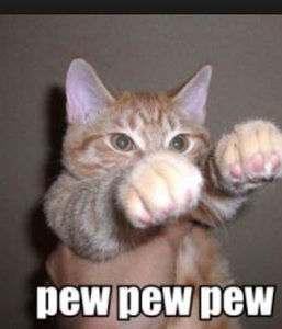 Meet your Posher, Dylan